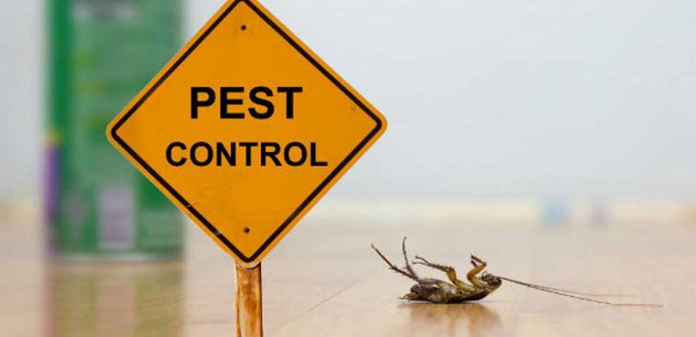 pest control Watson